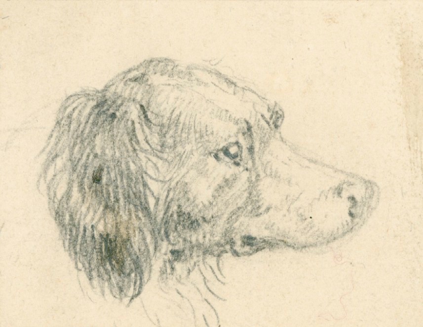 Sir Edwin Landseer RA, Head of a long-haired dog in profile