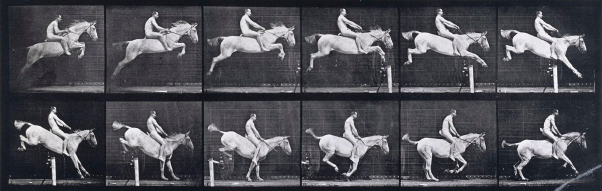 Eadweard Muybridge, Jumping a hurdle; bareback, clearing and landing; rider, 105; gray mare Pandora.