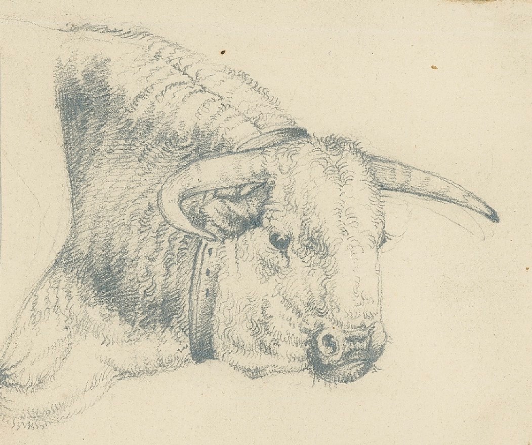 Sir Edwin Landseer RA, Head of a bull with a collar
