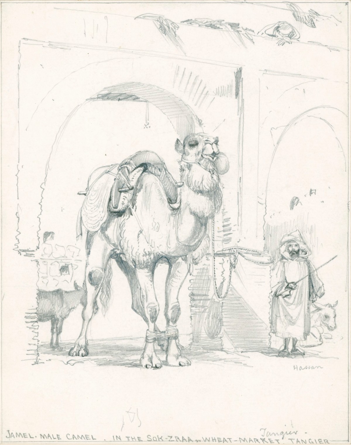 Edward William Cooke RA, Drawing of a camel in the Sok Zraa, Tangier