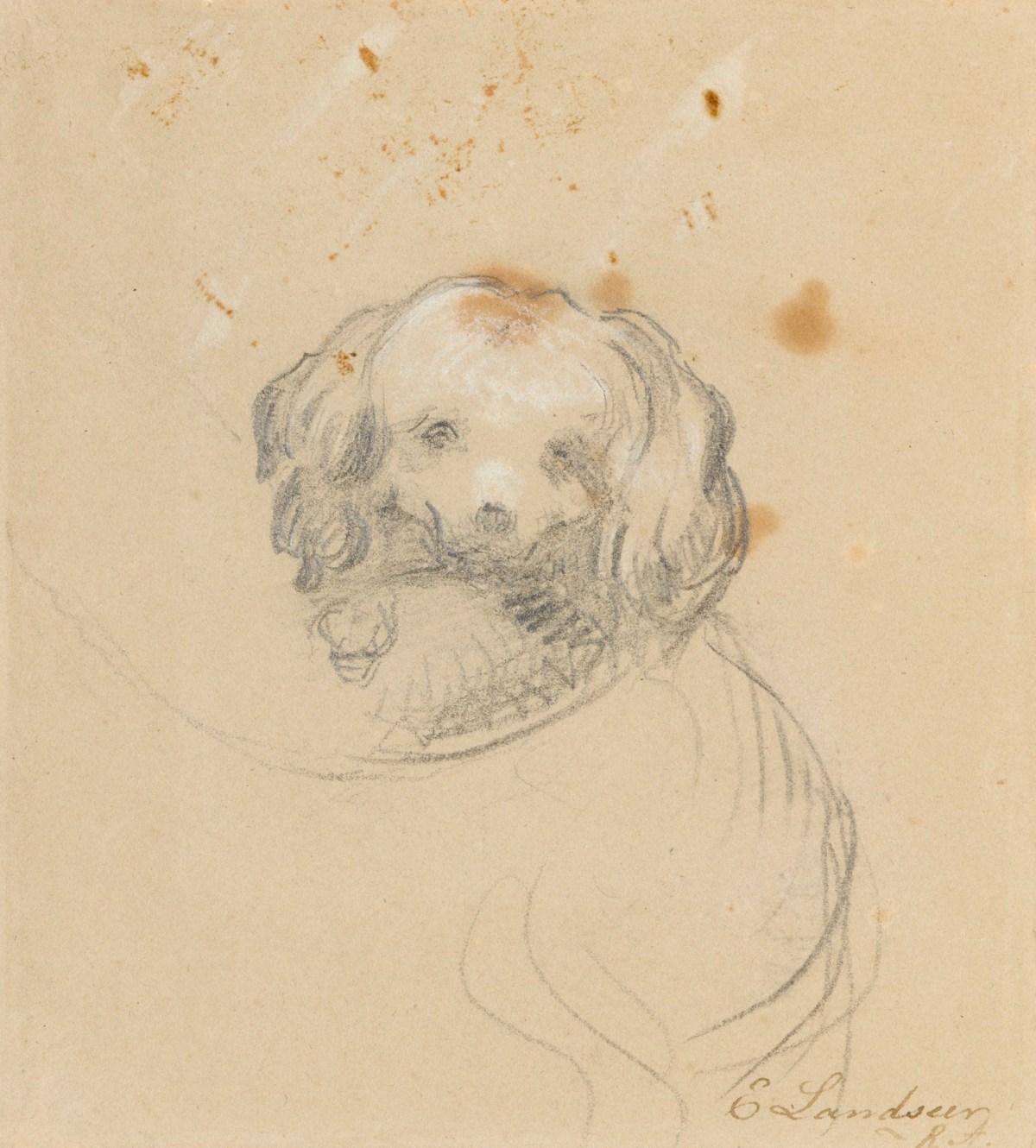 Sir Edwin Landseer RA, Study of a hand