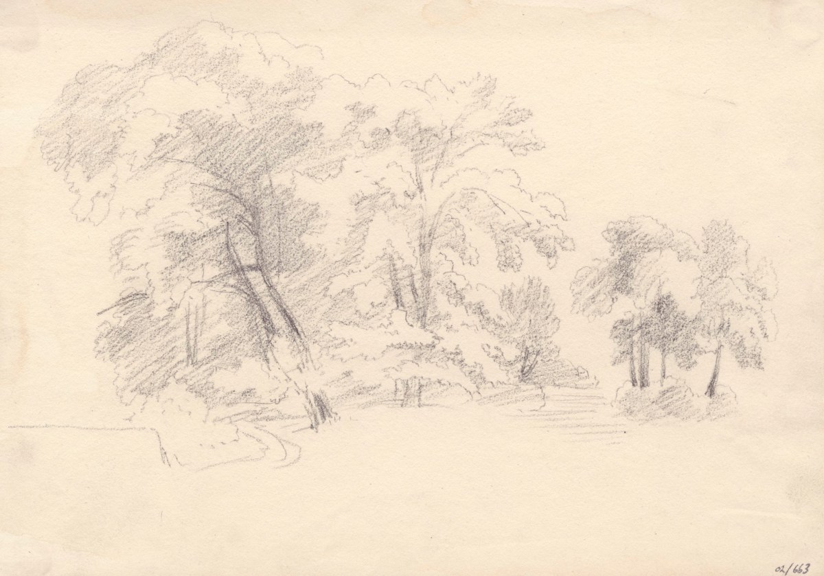 Oriana Georgiana Reinagle, Study of a group of trees