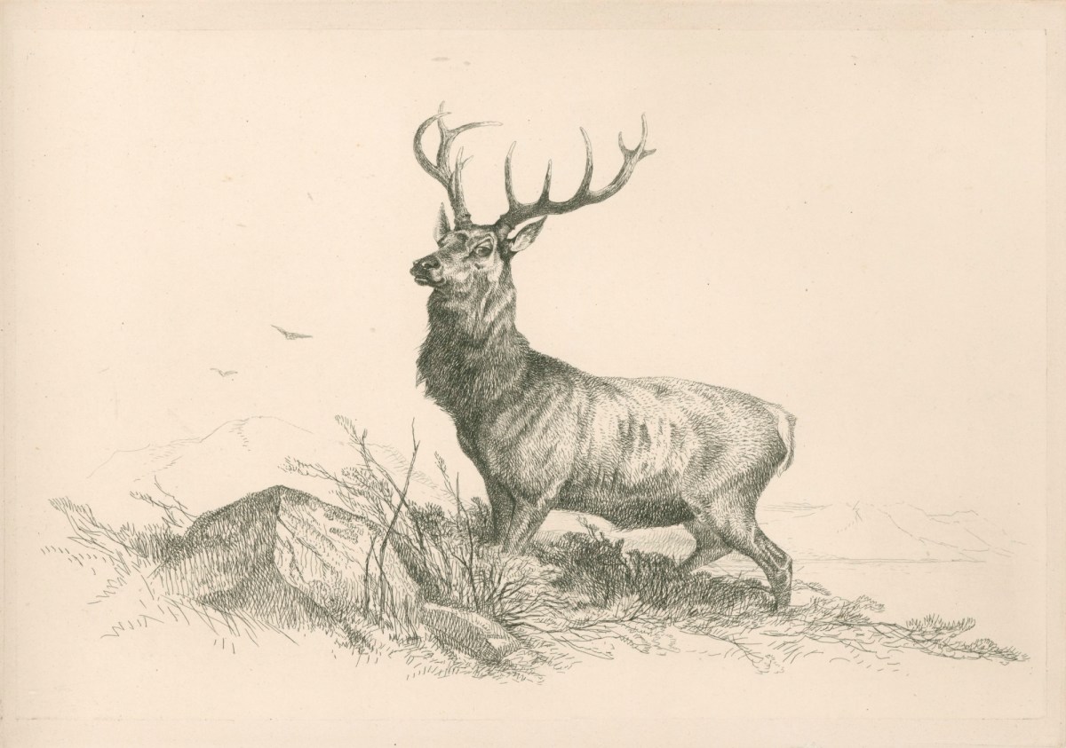 Richard Ansdell RA, The Sentinel