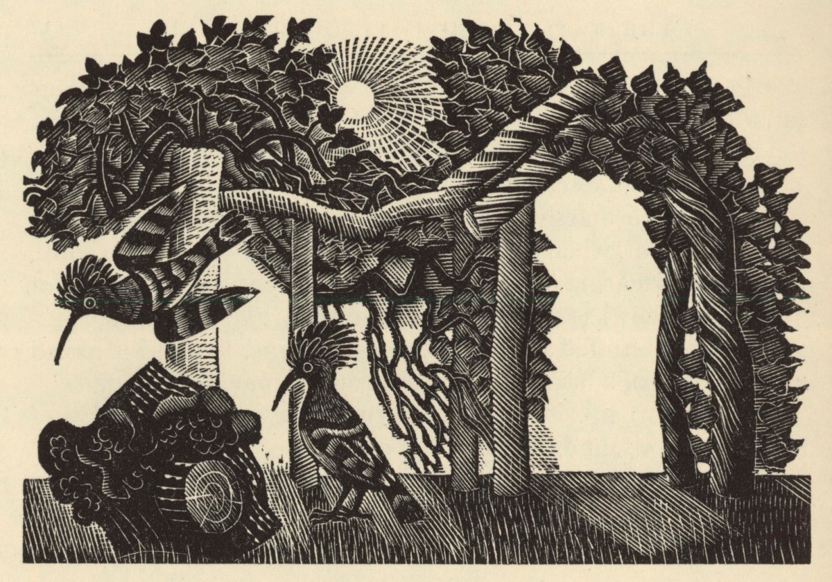 Eric Ravilious, Hoopoes in Gilbert White's garden