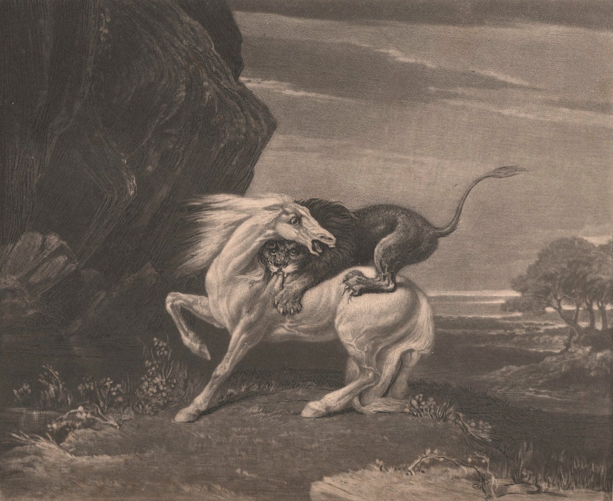 Henry Dawe, A Wild Horse attacked by a Lion