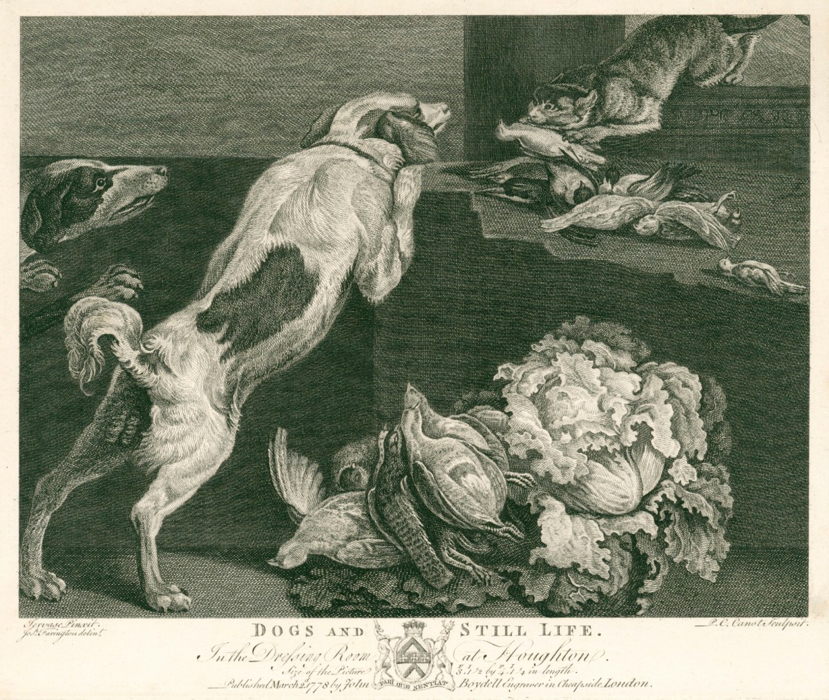 , Dogs and Still Life
