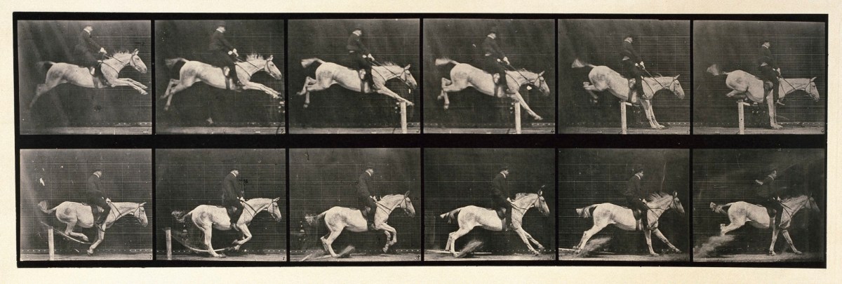 Eadweard Muybridge, Jumping a hurdle; saddle; knocking over hurdle and landing, rider 105; gray mare Pandora