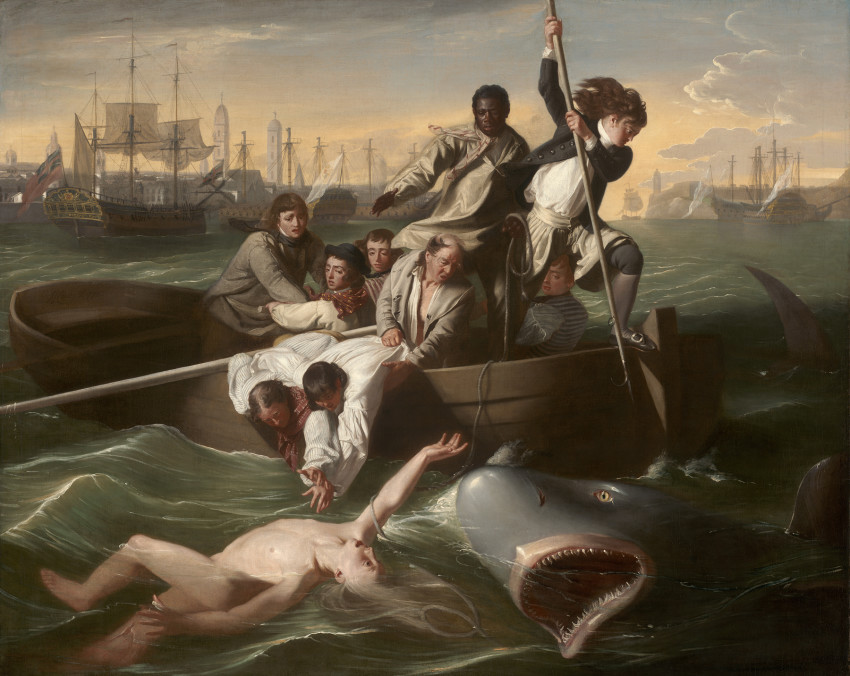 John Singleton Copley RA, Watson and the Shark