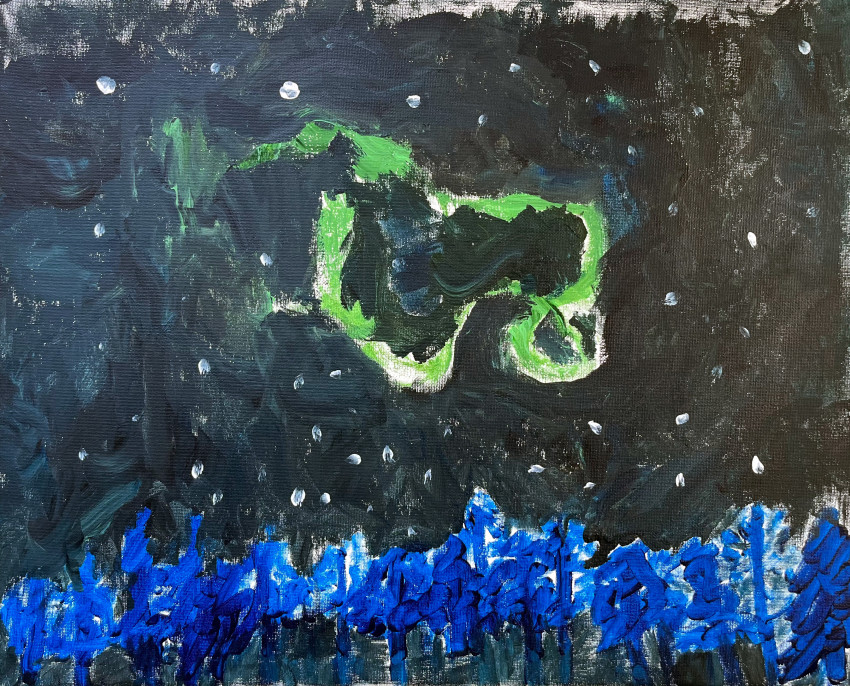 Julian, Age 6, What the Northern Lights Look Like in Real Life