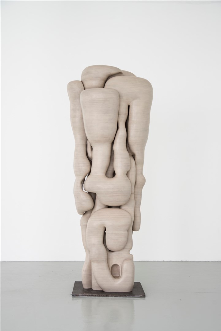 Sir Tony Cragg RA, 729 - LOST IN THOUGHTS