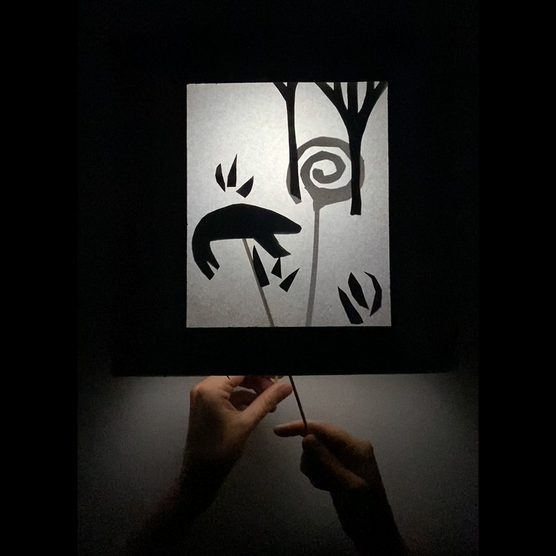 Shadow puppets
