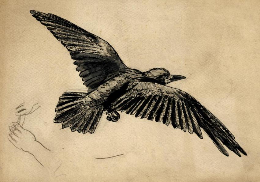 Sir John Everett Millais Bt. PRA, A rook in flight - a study for 'Christmas Eve