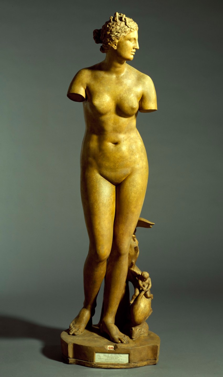 Unknown maker, Cast of Venus de 'Medici