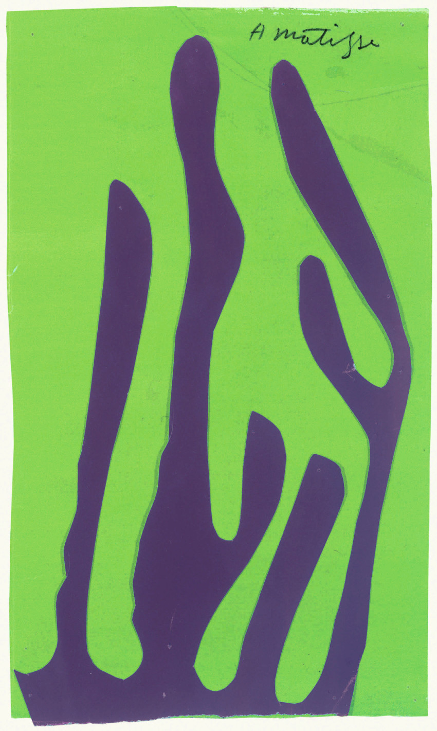 Henri Matisse, Alga on Green Background