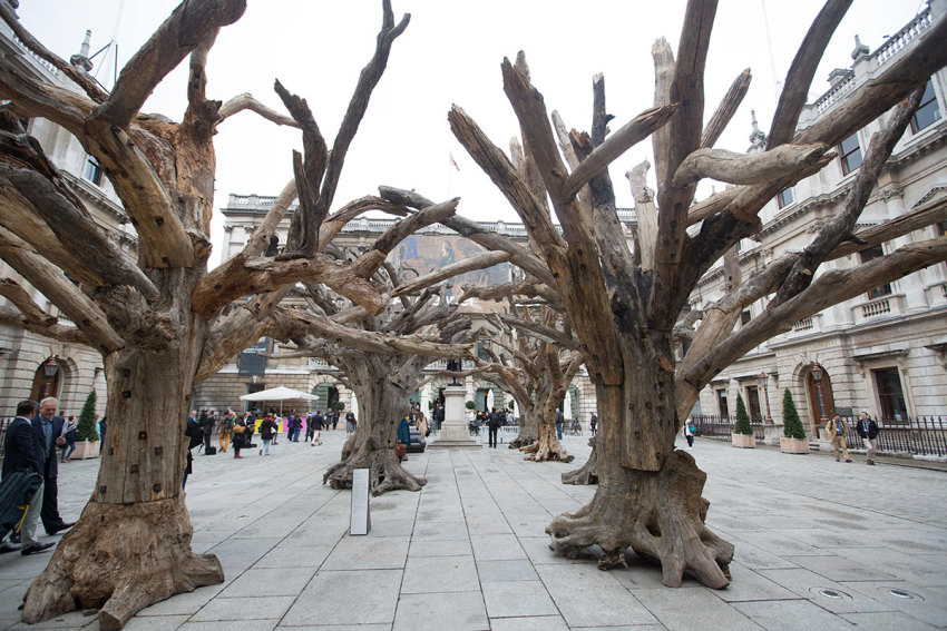 Ai Weiwei, Tree