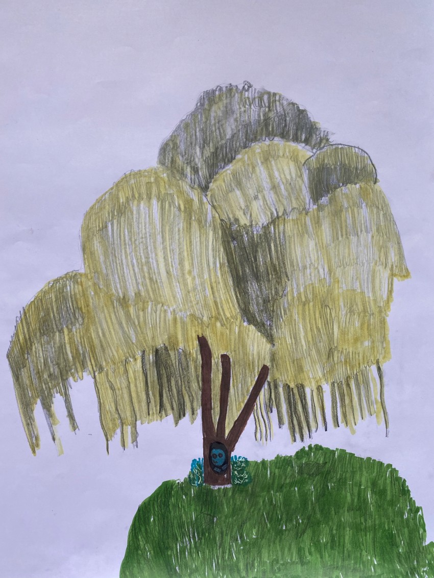 Urshi, Age 11, The Willow Tree