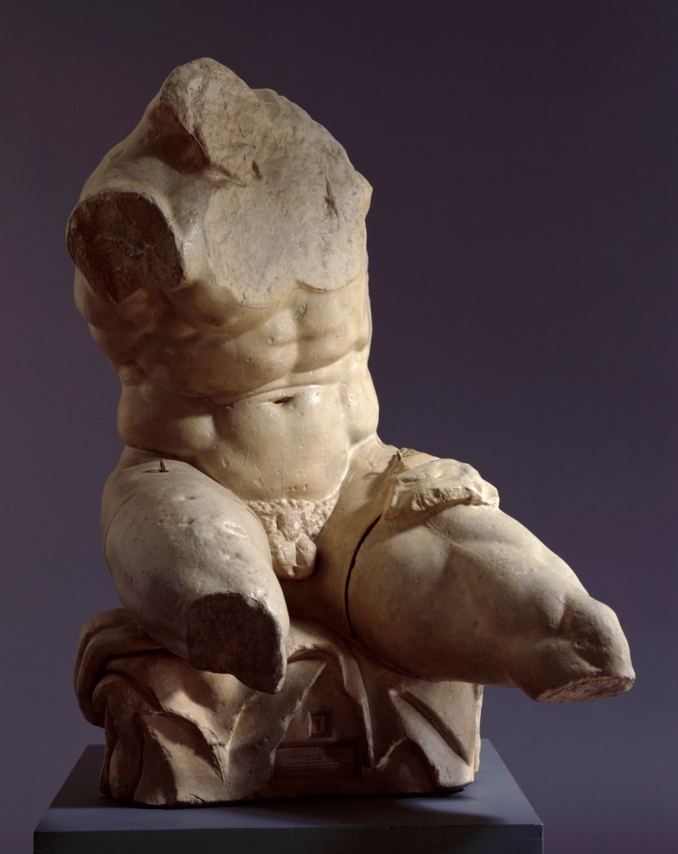 , Cast of Belvedere Torso