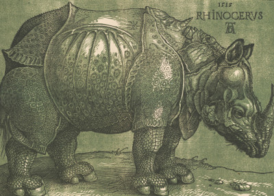 A chiaroscuro woodcut made after 1620 by printmaker Willem Janssen, after Albrecht Dürer’s Rhinoceros, 1515