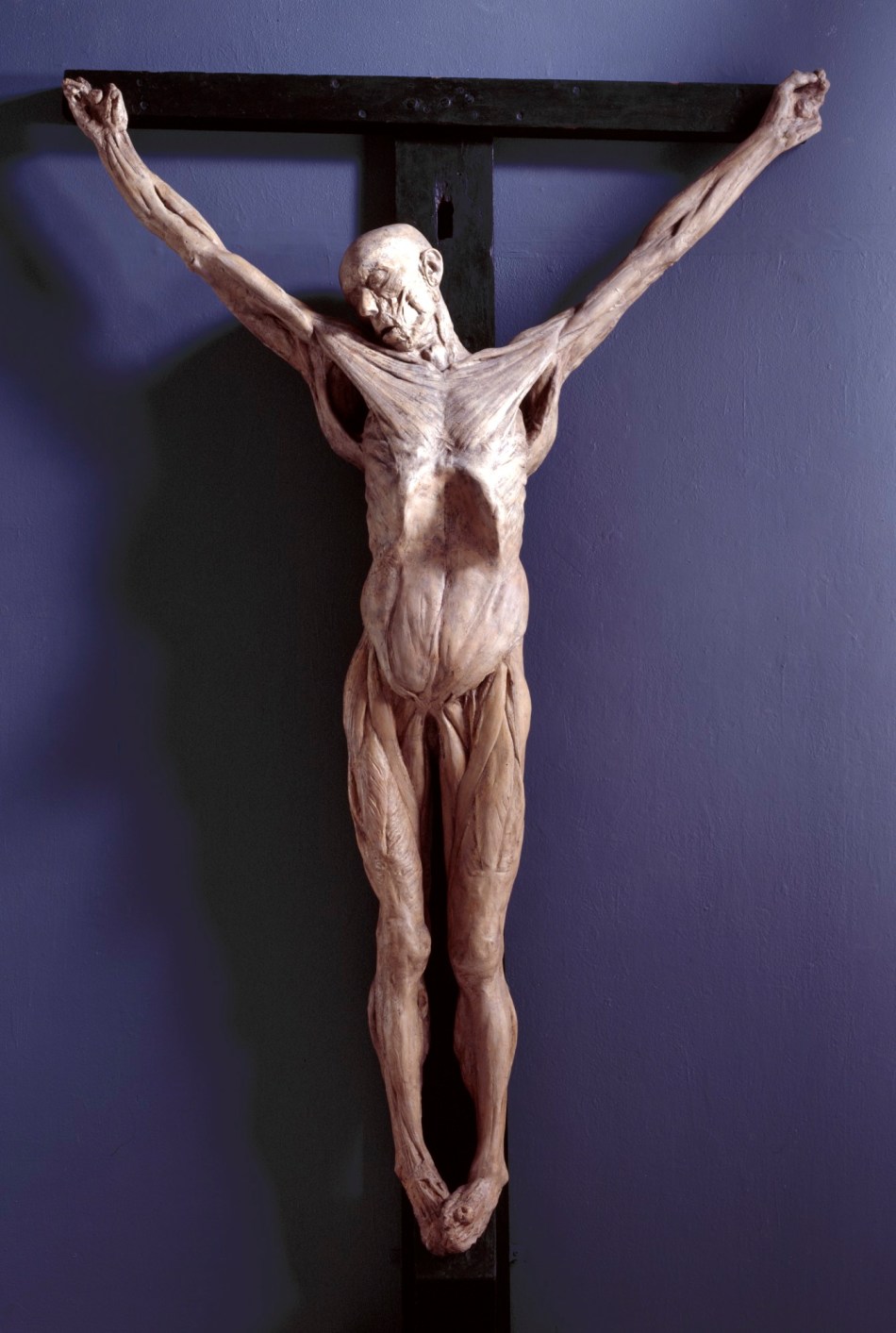 Thomas Banks RA, Anatomical Crucifixion (James Legg)
