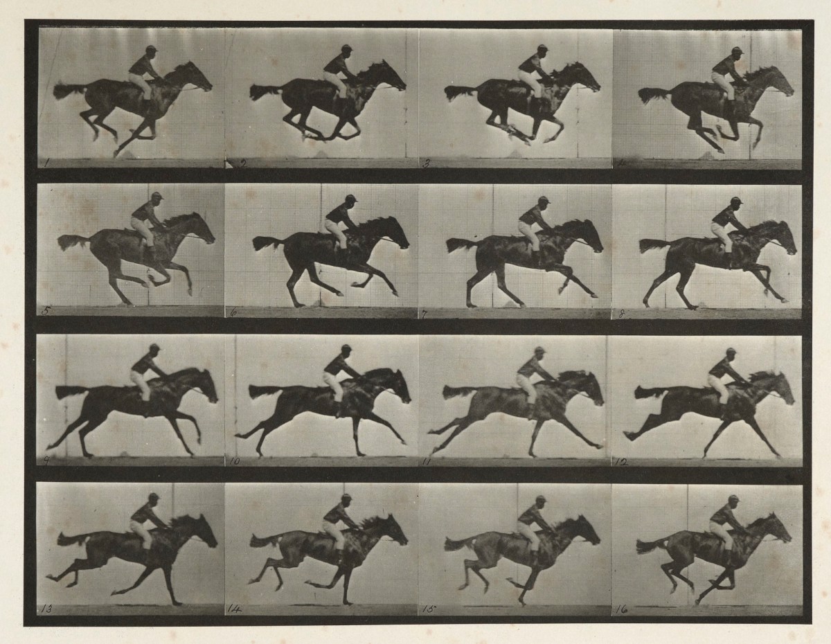 Eadweard Muybridge, Horses. Gallop; thoroughbred bay mare (Annie G) with male rider