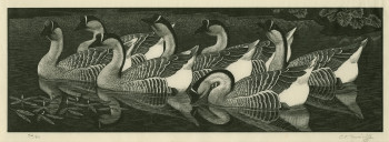 Charles Tunnicliffe RA, Chinese Geese