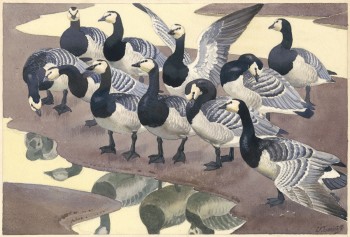 Charles Tunnicliffe RA, Solway Company