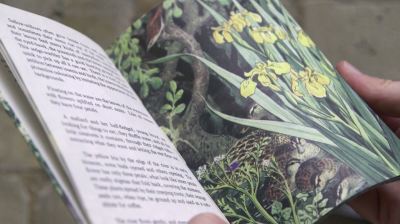 'What to look for in Summer', illustrated by Charles Tunnicliffe RA