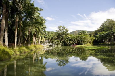 Inhotim Garden