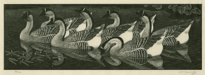 Charles Tunnicliffe RA, Chinese Geese