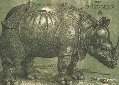 A chiaroscuro woodcut made after 1620 by printmaker Willem Janssen, after Albrecht Dürer’s Rhinoceros, 1515